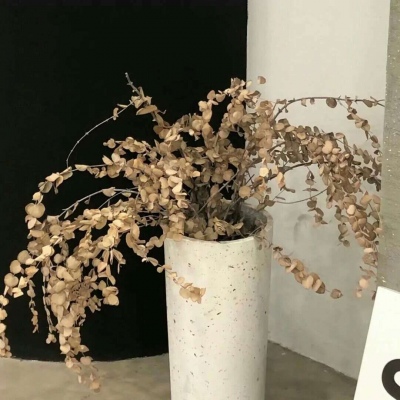 封丘FurryQQ群介绍